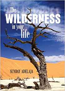 The Wilderness In Your Life PB - Sunday Adelaja